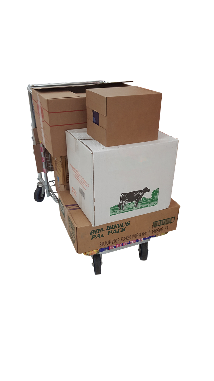 trolley, boxes, moving-Storage Solutions in Tampa