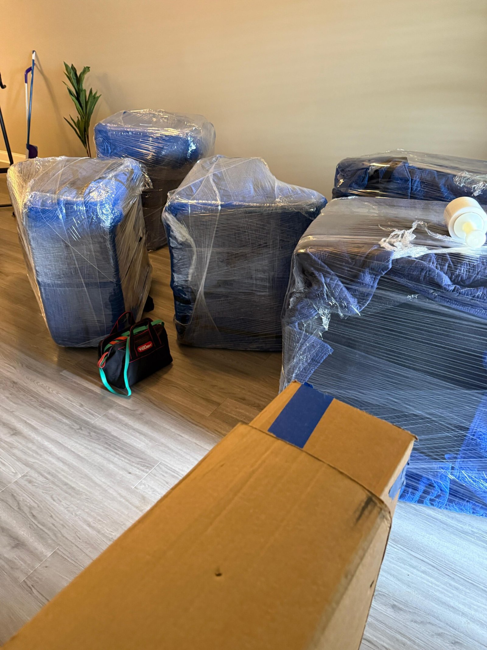 Florida Intrastate Moving Guide: What You Need to Know Before You Move Florida Intrastate Moving