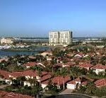 Palmetto city